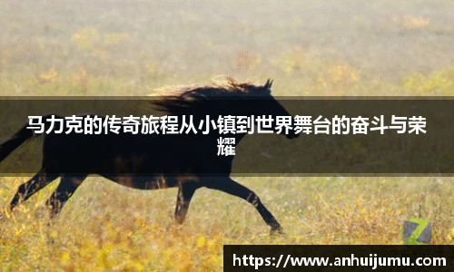 雷竞技raybet入口